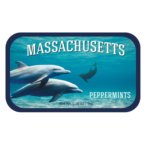 Dolphin School Massachusetts - 0235S