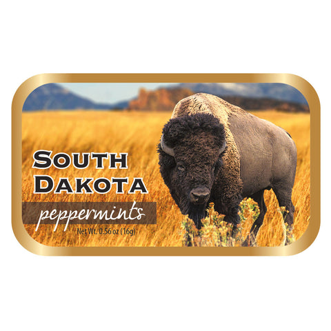Bison South Dakota - 0262S