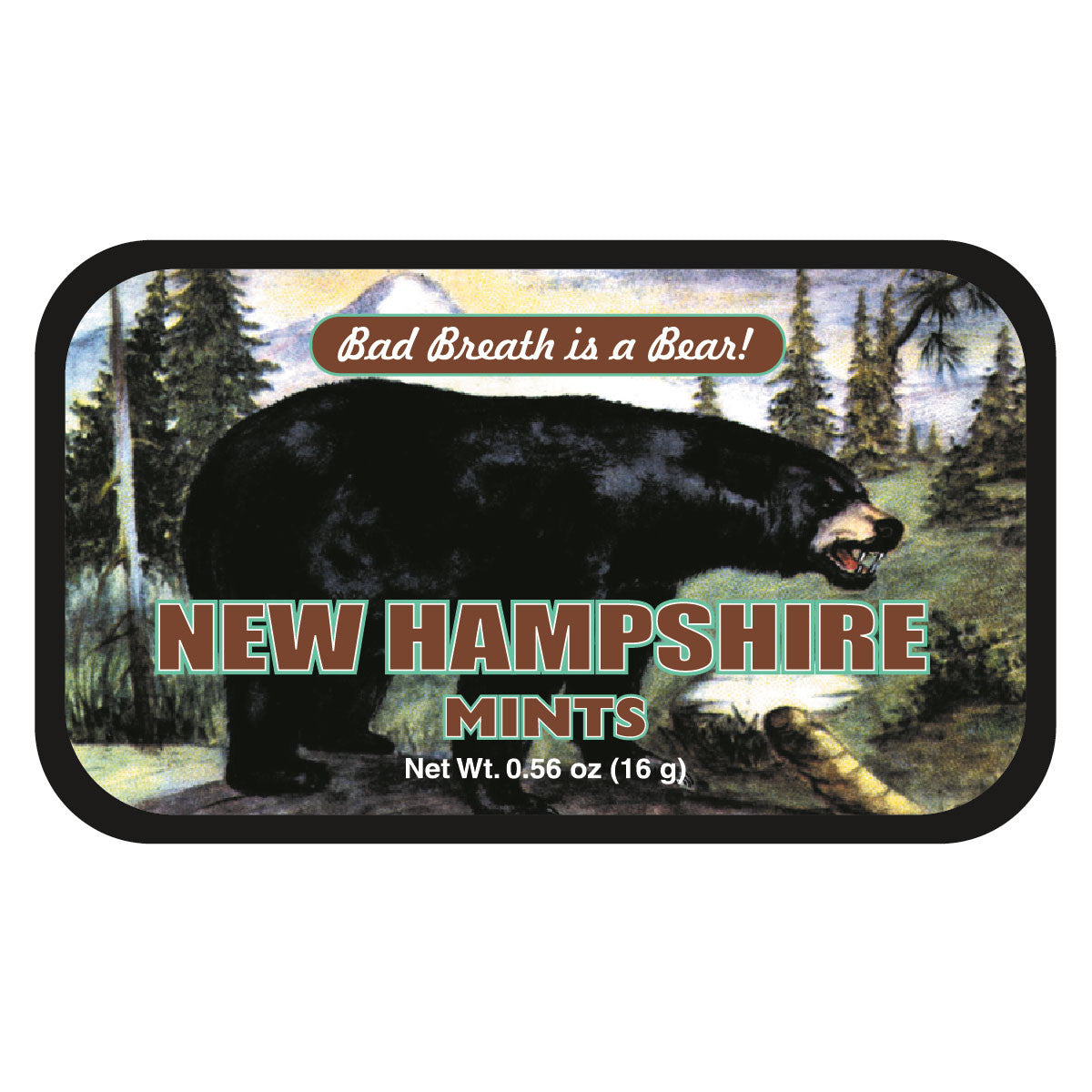 Black Bear Bad New Hampshire - 0086S