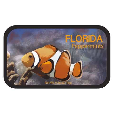 Clown Fish Florida - 0229S