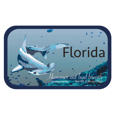 Hammerhead Shark Florida - 0231S