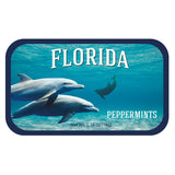 Dolphin School Florida - 0235S