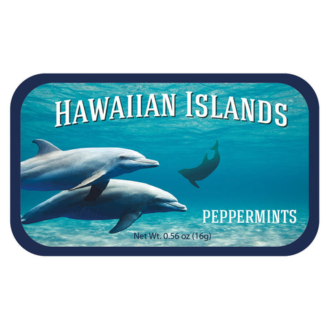 Dolphin School Hawaii - 0235S