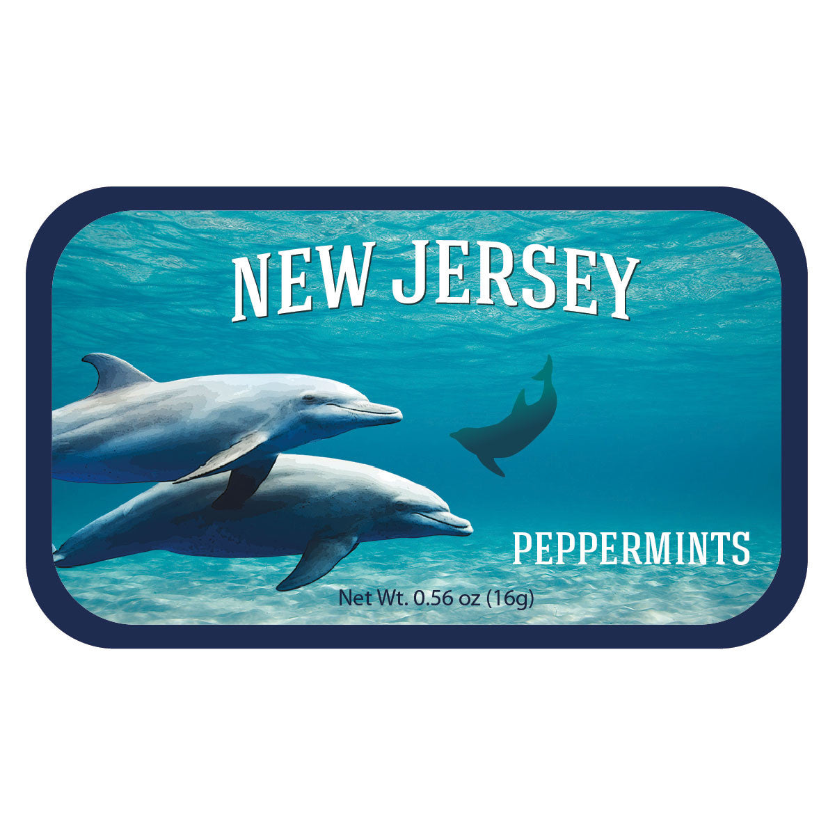 Dolphin School New Jersey - 0235S