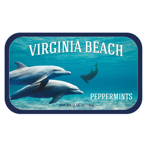 Dolphin School Virginia - 0235S