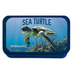 Sea Turtle - 0238S