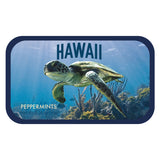 Sea Turtle Hawaii - 0238S
