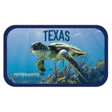 Sea Turtle Texas - 0238S