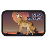 Coyote New Mexico - 0246S