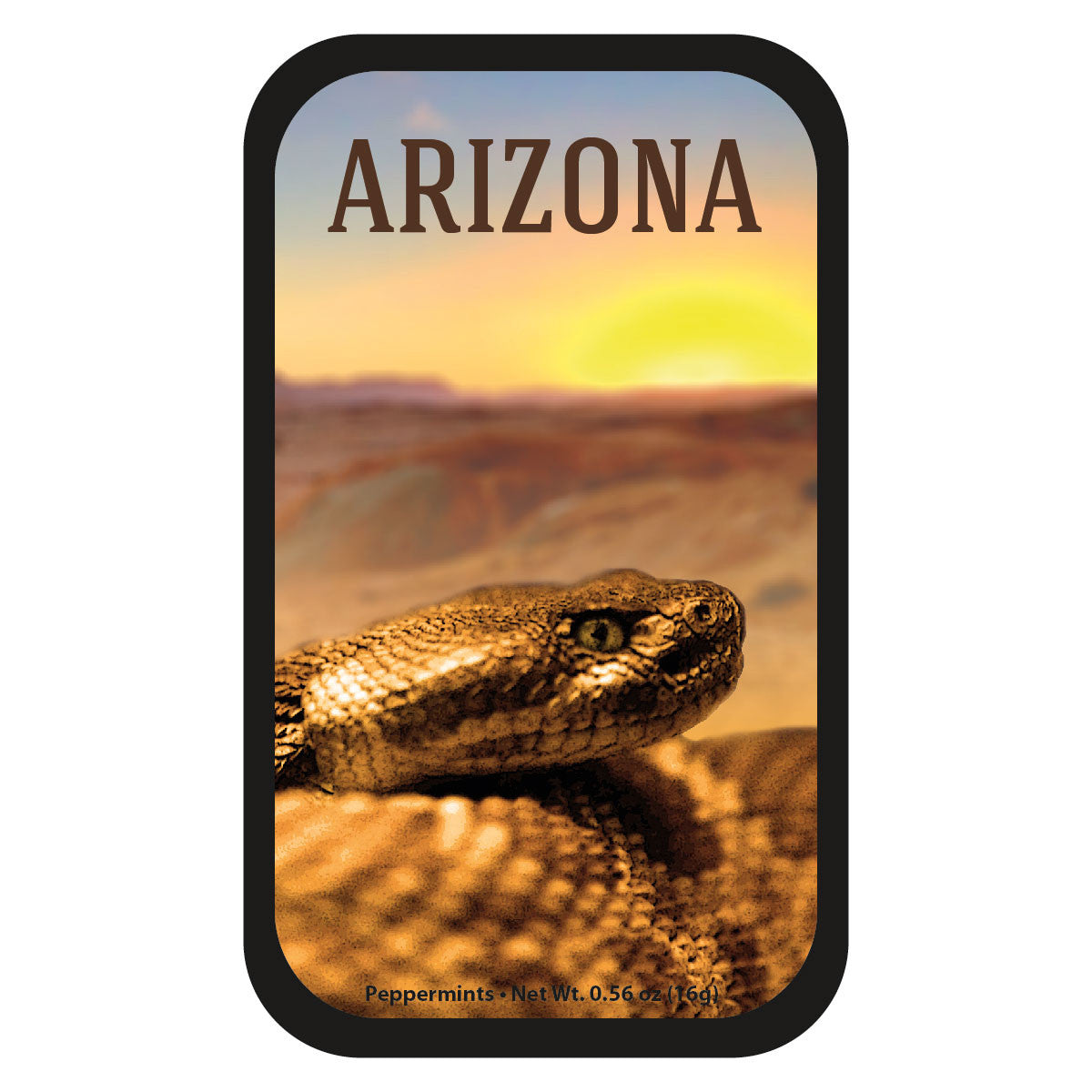 Rattle-Snake Arizona - 0248S