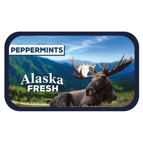 Laying Moose Alaska - 0256S