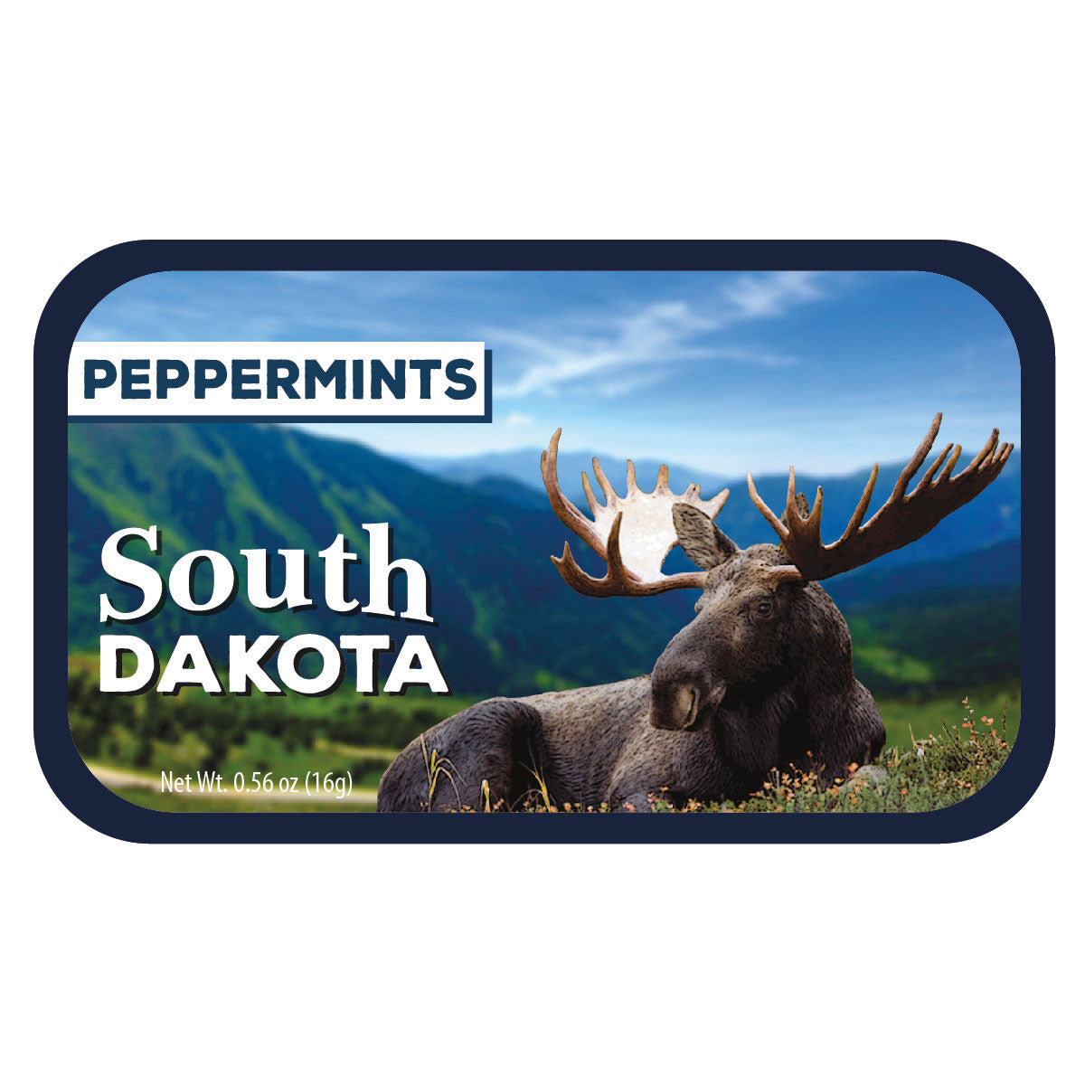 Laying Moose South Dakota - 0256S
