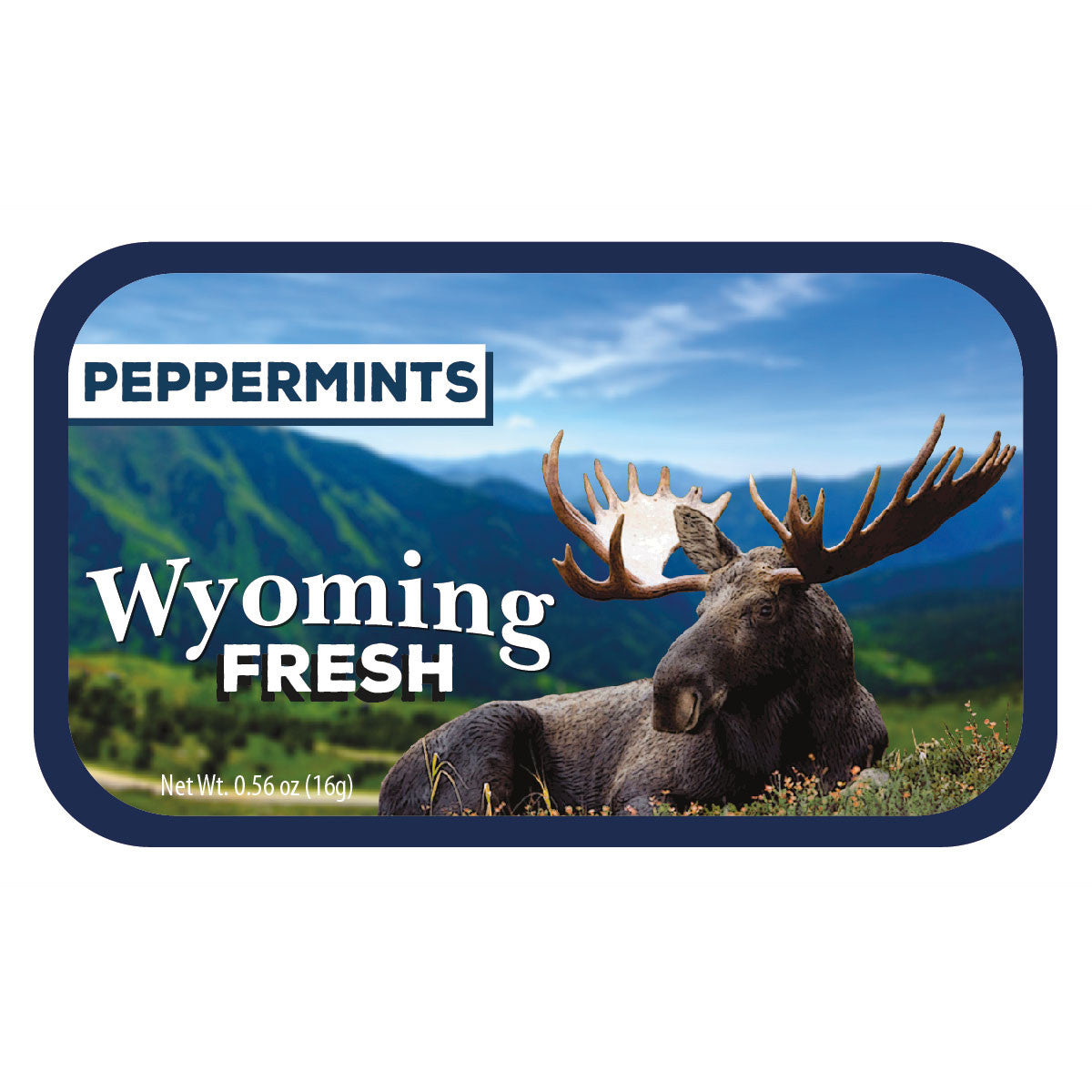 Laying Moose Wyoming - 0256S