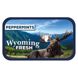 Laying Moose Wyoming - 0256S
