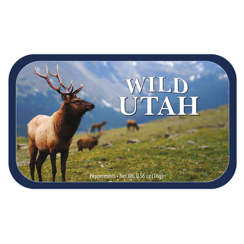 Elk Field Utah - 0258S