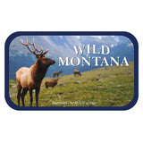 Elk Field Montana - 0258S