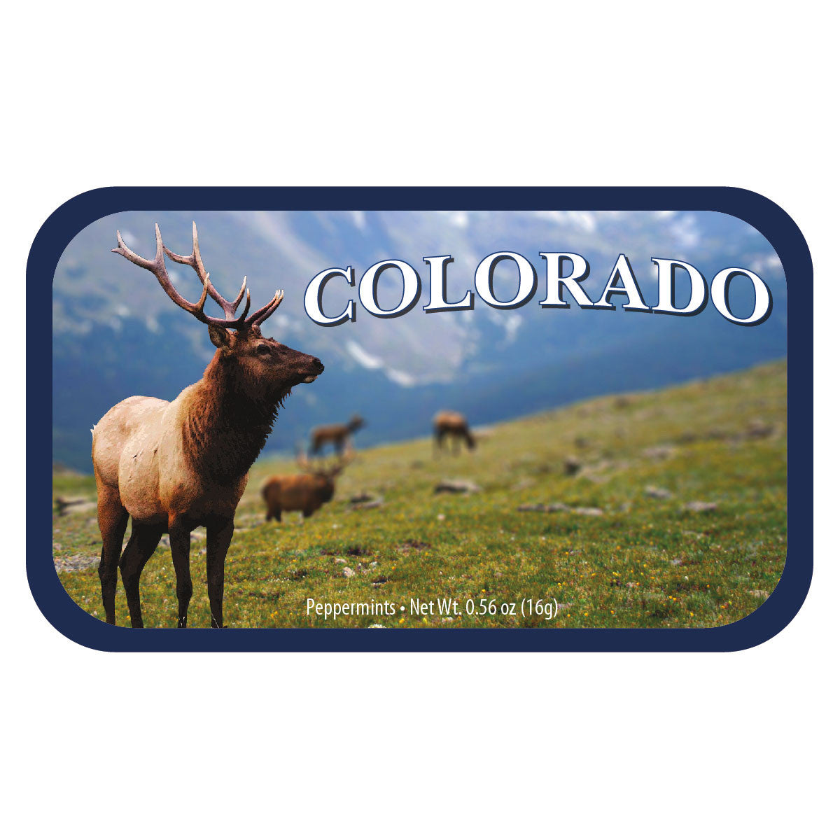 Elk Fields Colorado - 0258S