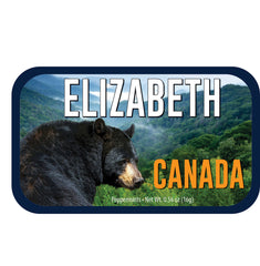 Canadian Black Bear - 0260ND