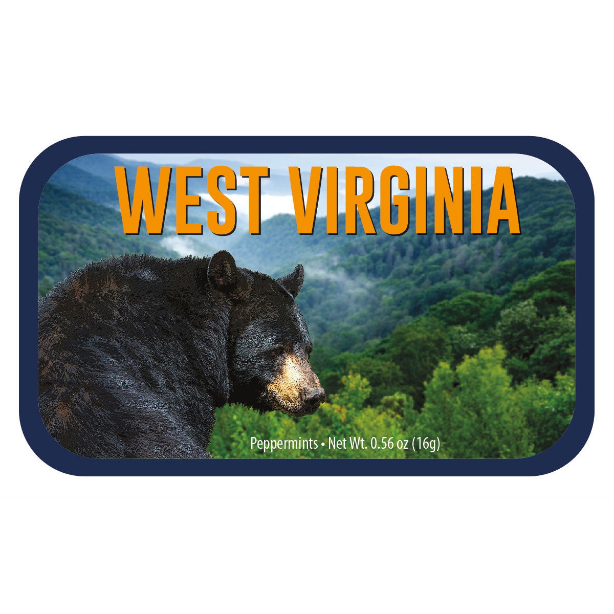 Black Bear West Virginia - 0260S