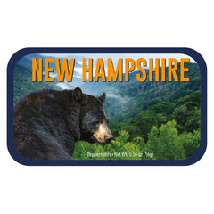 Black Bear New Hampshire - 0260S