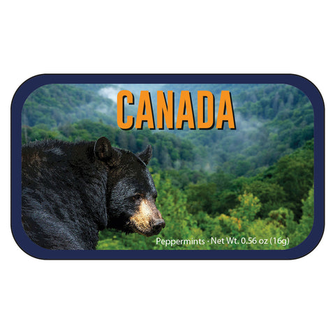 Black Bear Canada - 0260S