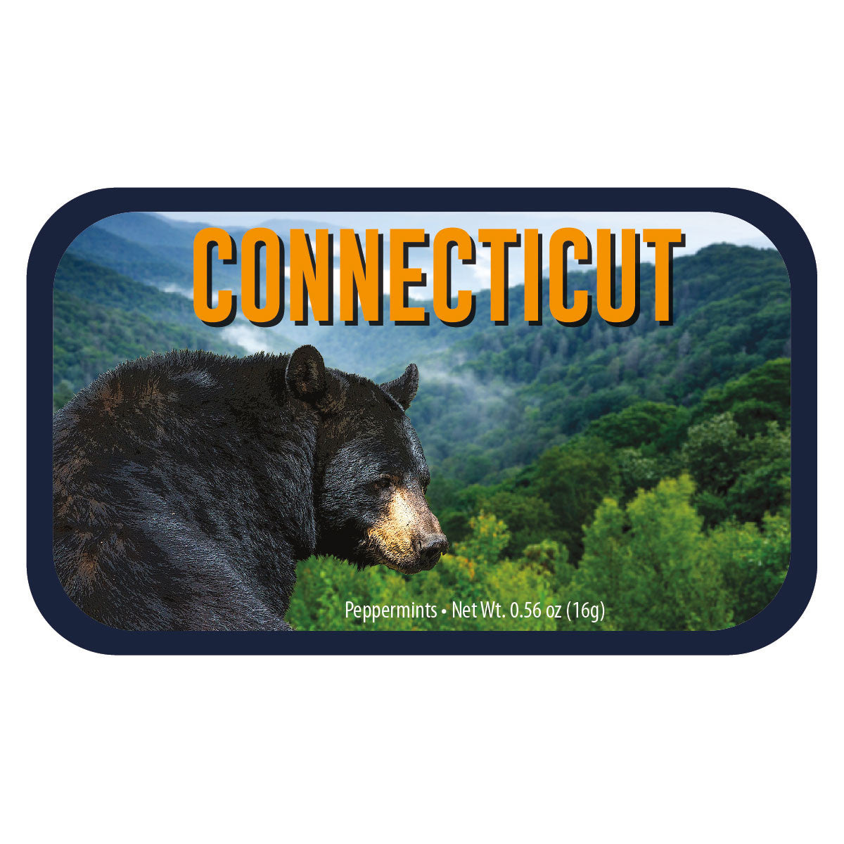 Black Bear Connecticut - 0260S