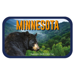 Black Bear Minnesota - 0260S