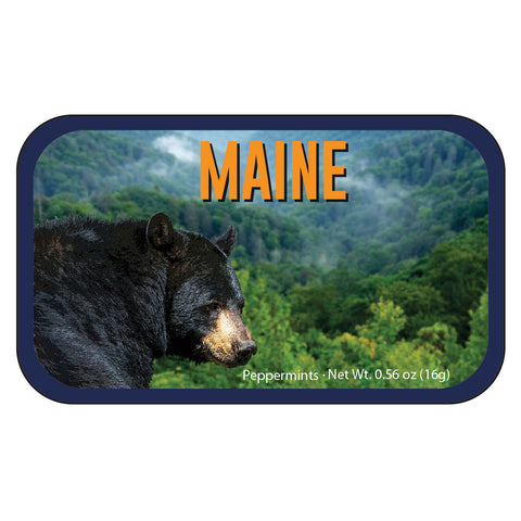 Black Bear Maine - 0260S