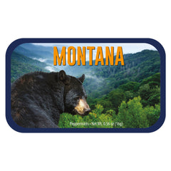 Black Bear Montana - 0260S