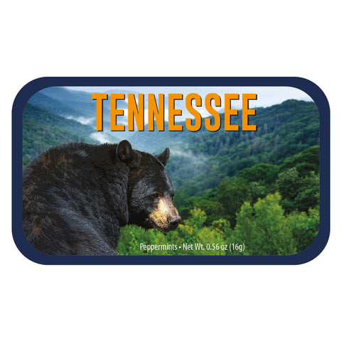 Black Bear Tennessee - 0260S