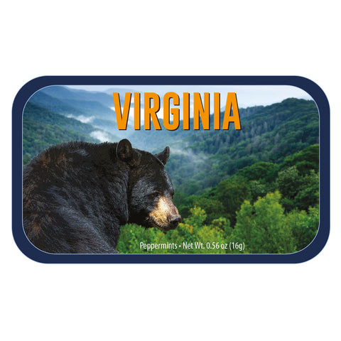 Black Bear Virginia - 0260S