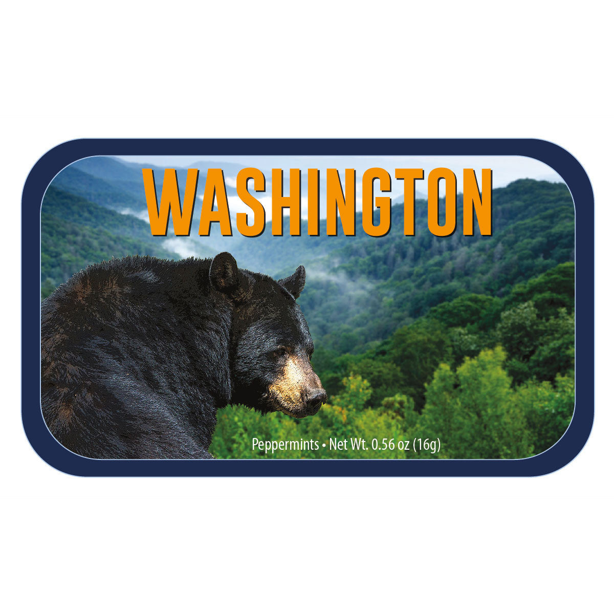 Black Bear Washington  - 0260S