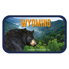 Black Bear Wyoming - 0260S