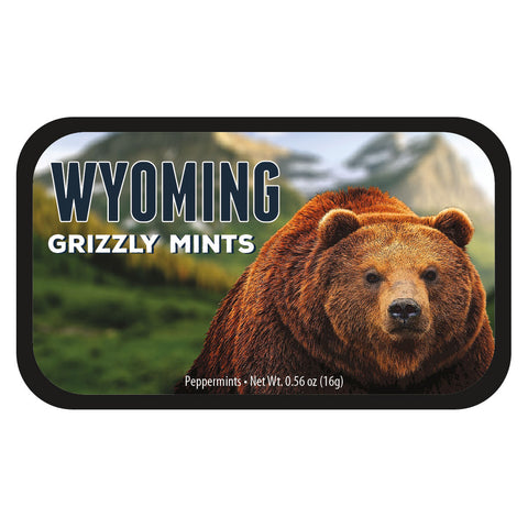 Grizzly Bear Wyoming - 0261S