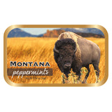 Bison Montana - 0262S