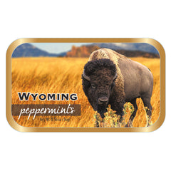 Bison Wyoming - 0262S