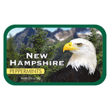 Bald Eagle New Hampshire - 0264S