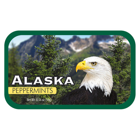 Bald Eagle Alaska - 0264S