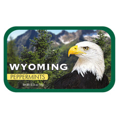 Bald Eagle Wyoming - 0264S