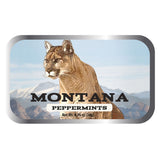 Mountain Lion Montana - 0266S