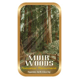Muir Woods Trail - 0292S