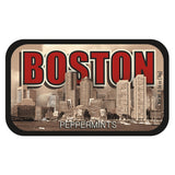 Boston Skyline Sepia - 0421S