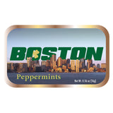 Boston Skyline Shamrock - 0490S