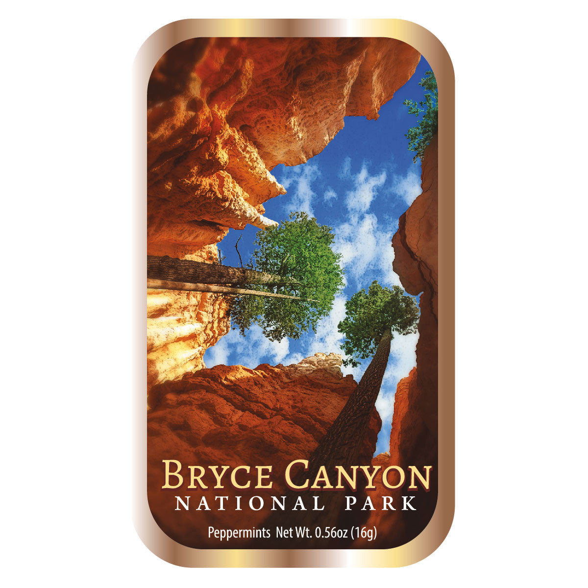 Bryce Canyon Trees Utah - 0523S