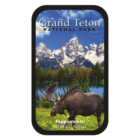 Grand Tetons Moose - 0526S