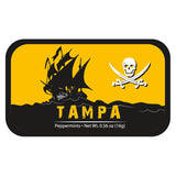 Pirate Ship Florida - 0581S