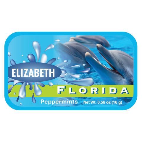 Flipper Florida - 0707ND