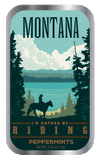 Horseback Riding Montana - 0937A