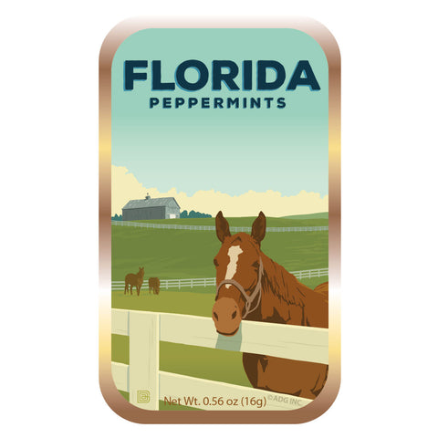 Horse Florida - 0950A
