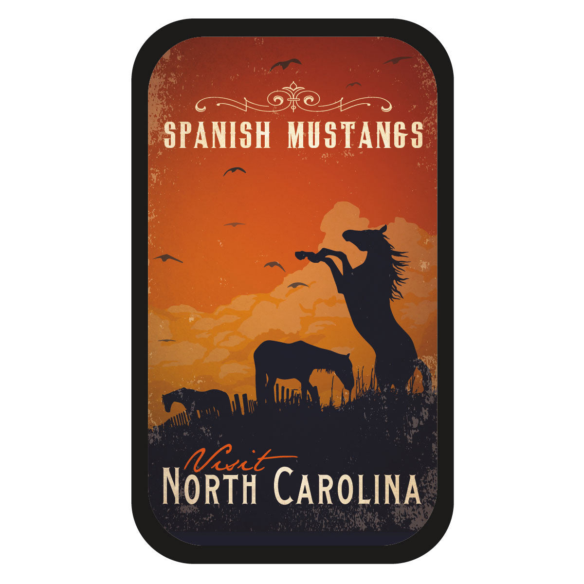 Spanish Mustang North Carolina - 1021S
